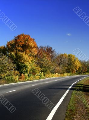 Autumn road / Fall scenic