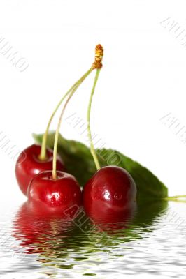 sweet cherry in water