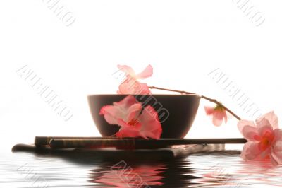 Chinese sticks, plate and cup in water