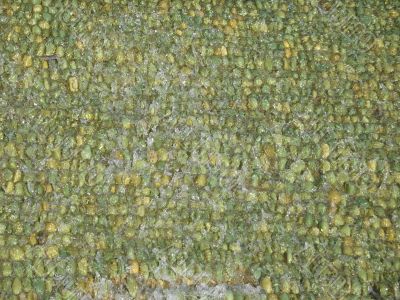 green pebbles under water background