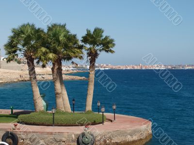 hurghada in day view