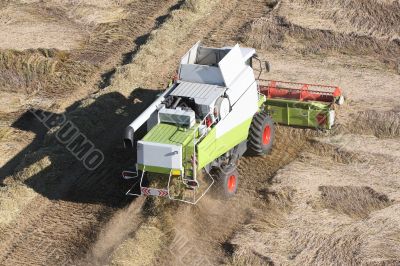 Machine harvesting the corn field Machine harvesting the corn field