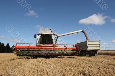 Machine harvesting the corn field