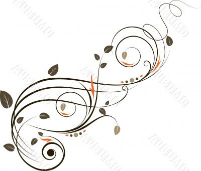 Floral abstraction Floral abstraction