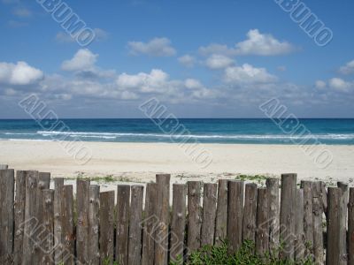 blue tropical ocean blue tropical ocean