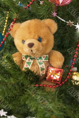 Plush toy bear in the banch of Cristmas-tree