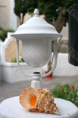 lantern and greater cockleshell lantern and greater cockleshell
