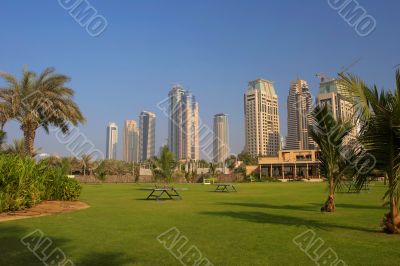 Palm trees, lawn and skyscrapers