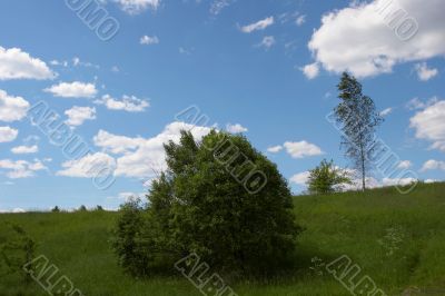 Field and Sky