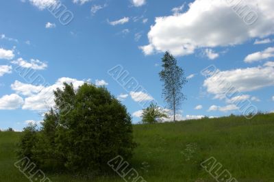 Field and Sky