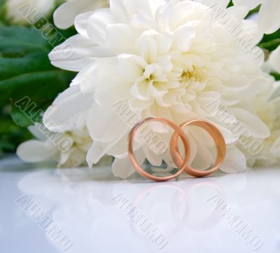 wedding rings