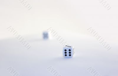 Dices on white surface