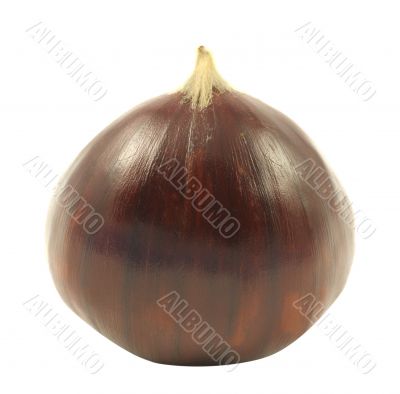 Chestnut
