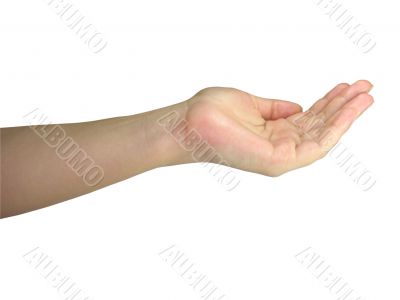 Human lady hand holding your object isolated over white