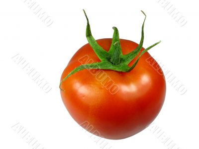 Fresh red tomato isolated over white background