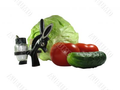 Set of vegetables with kitchen device