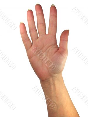 Human lady hand showing five fingers isolated over white background
