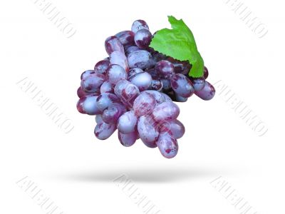 Pink grape with leave and shadow isolated over white background