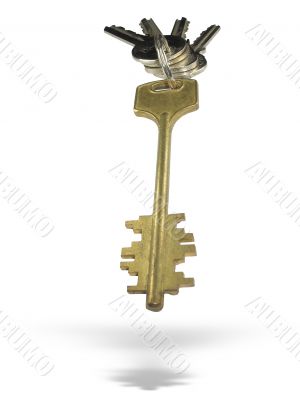 Metallic keys with ring and shadow isolated over white background
