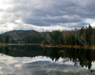 Dark forest near lake