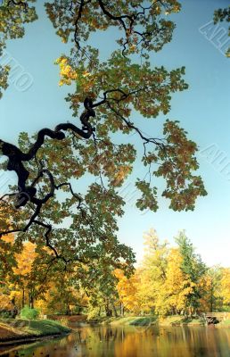 Picturesque view of the autumn pond