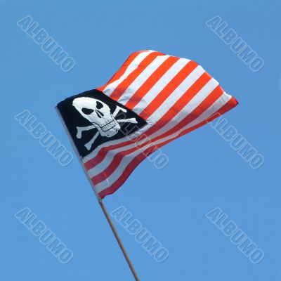 skull and crossbones USA flag