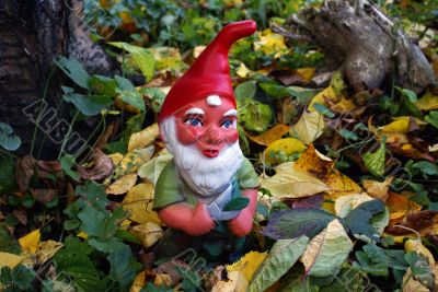 Garden Gnome In Autumn