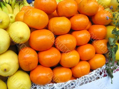 fruits. Tangerines mandarin and lemons in a show-window of shop