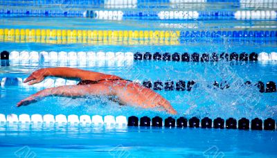 Swimmer Swimmer