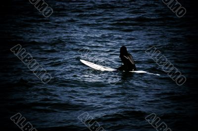 Surfer Waiting for the Perfect Wave Surfer Waiting for the Perfect Wave