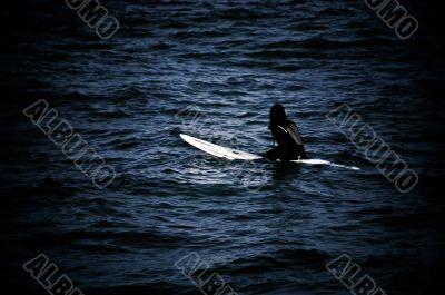 Surfer Waiting for the Perfect Wave