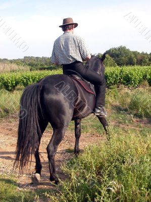 man and black horse