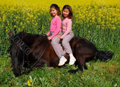 horse laid down and twins