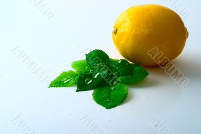 Lemon