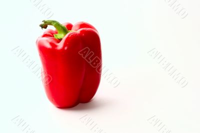 Red pepper