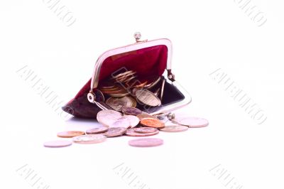 Wallet with coins