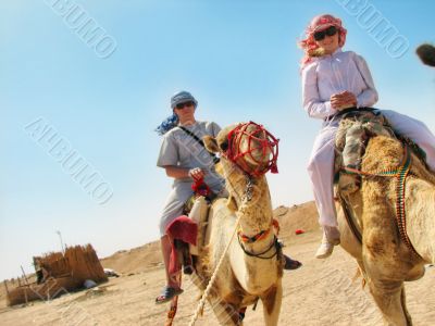 people traveling on camels in egypt