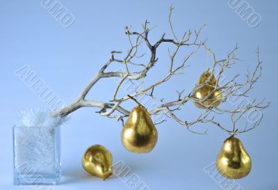 Golden Pears in Cold Golden Pears in Cold