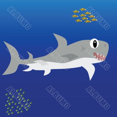 Shark underwater
