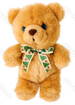 Brown bear teddy