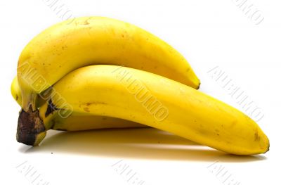 bananas 2