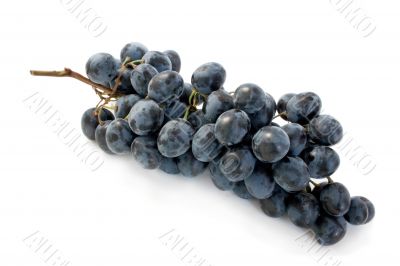 grape grape