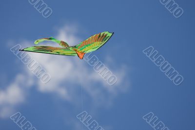 Kite in the sky