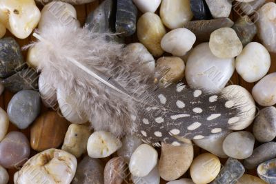 Feather and Pebbles