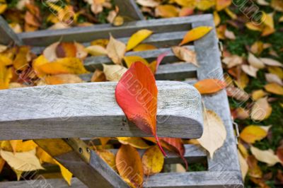 deckchair in autumn