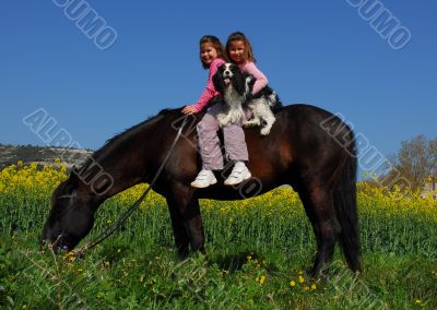 twins, dog and horse