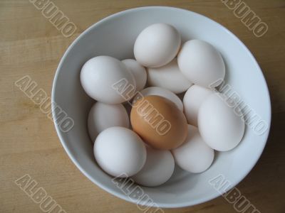 white and brown eggs