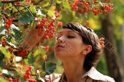 The girl near a mountain ash The girl near a mountain ash