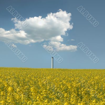 Blooming rape field in front of a smokestack