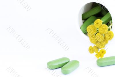 pills over white with tansy flower